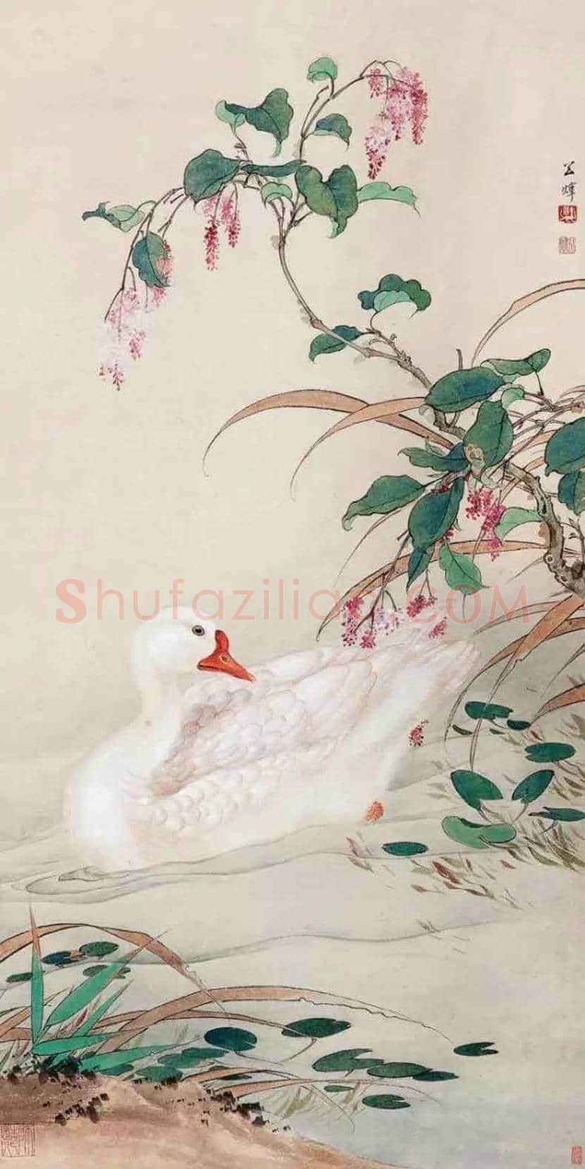 田世光花鸟画作品欣赏 | 书画科普