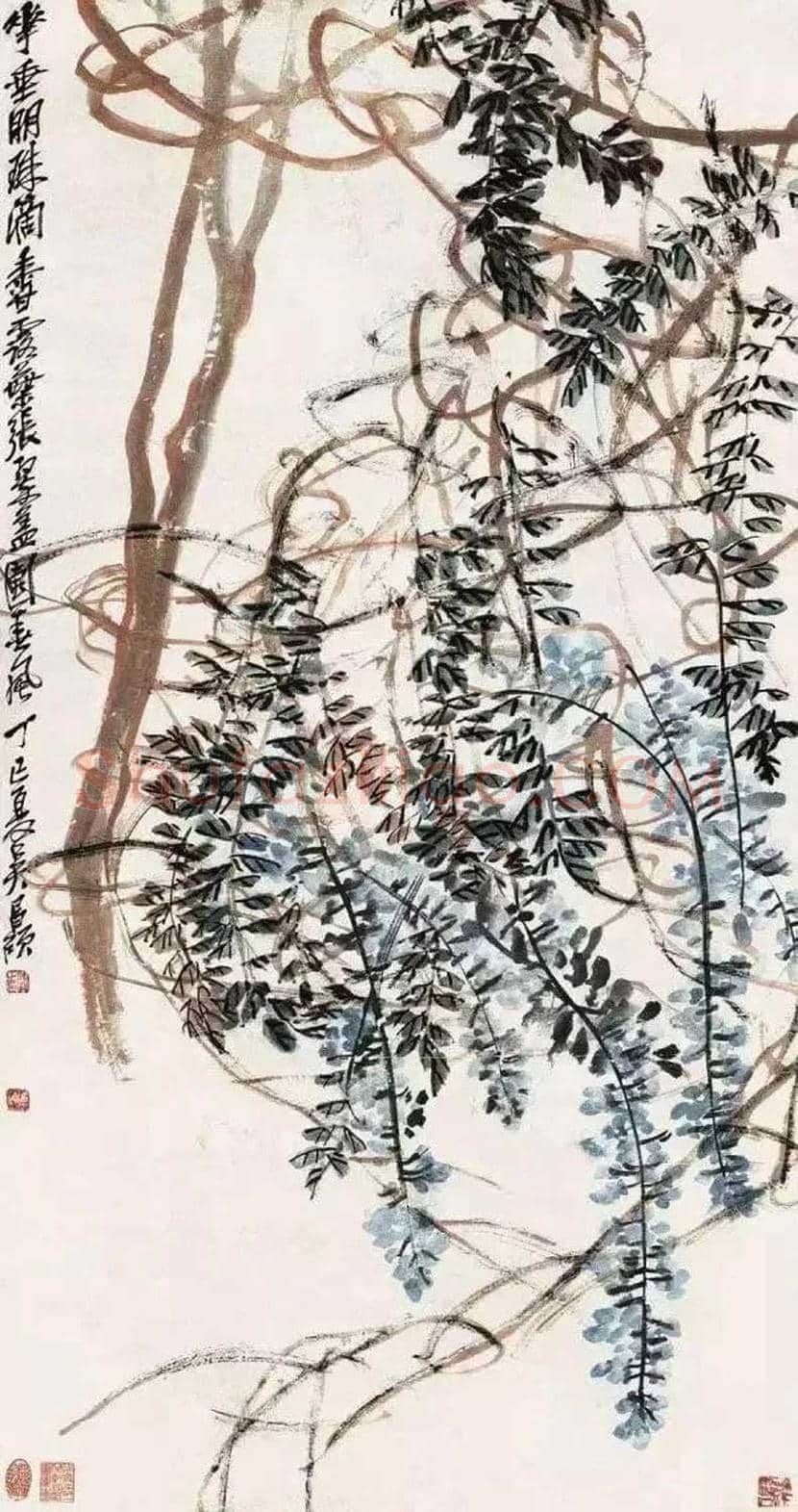 吴昌硕笔下的紫藤,就是在写狂草! | 书画学堂
