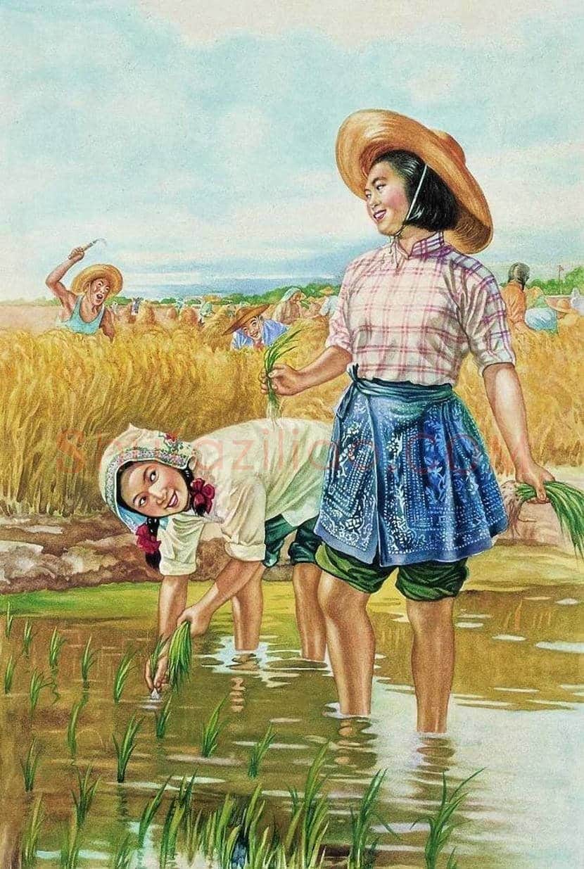 李慕白年画作品欣赏 | 书画资料