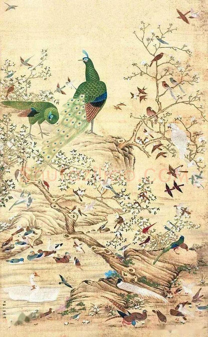 邹一桂工笔花鸟画作品欣赏 | 书画学堂