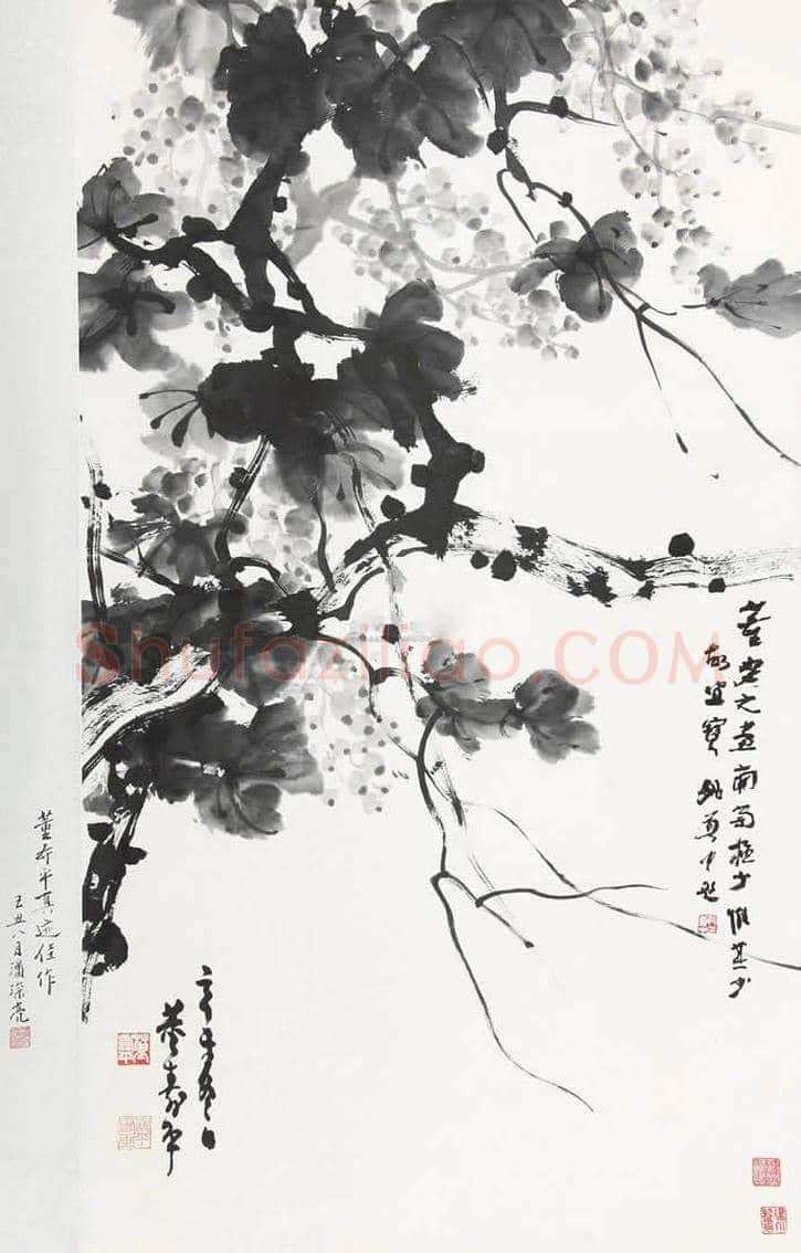大师董寿平笔下的水墨葡萄欣赏 | 书画学堂