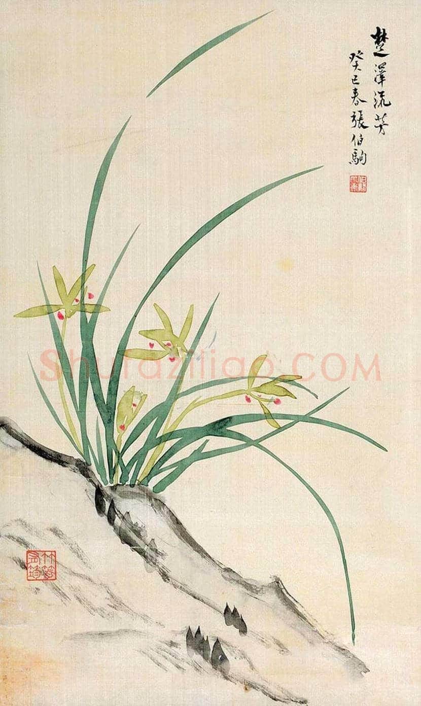 张伯驹作品欣赏 | 书画科普