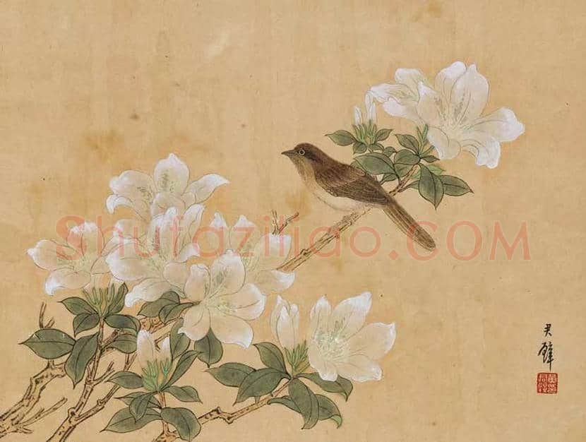 黄君璧花鸟画作品欣赏 | 书画文摘