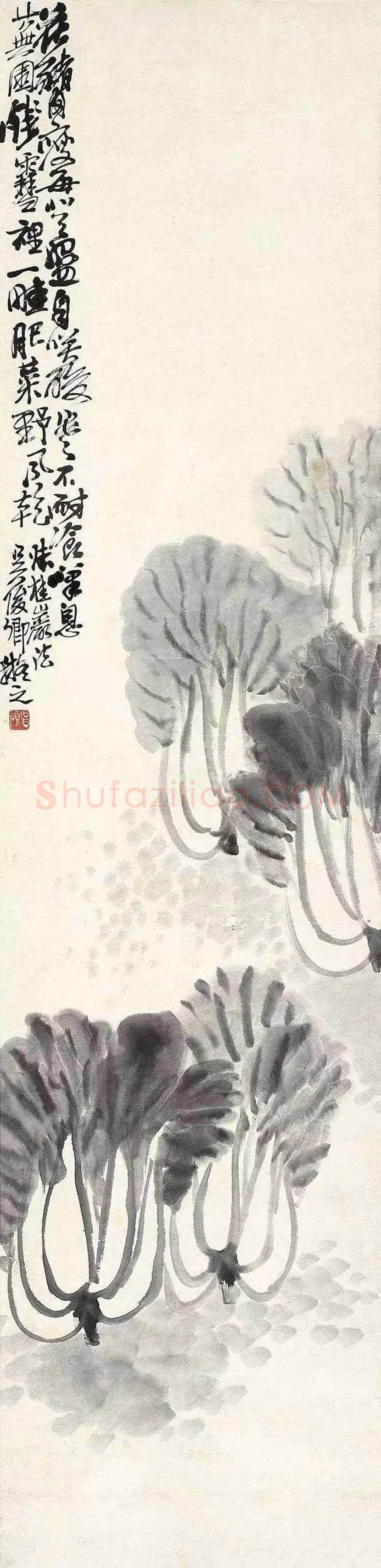 名家笔下的白菜画,百看不厌! | 书画讲解