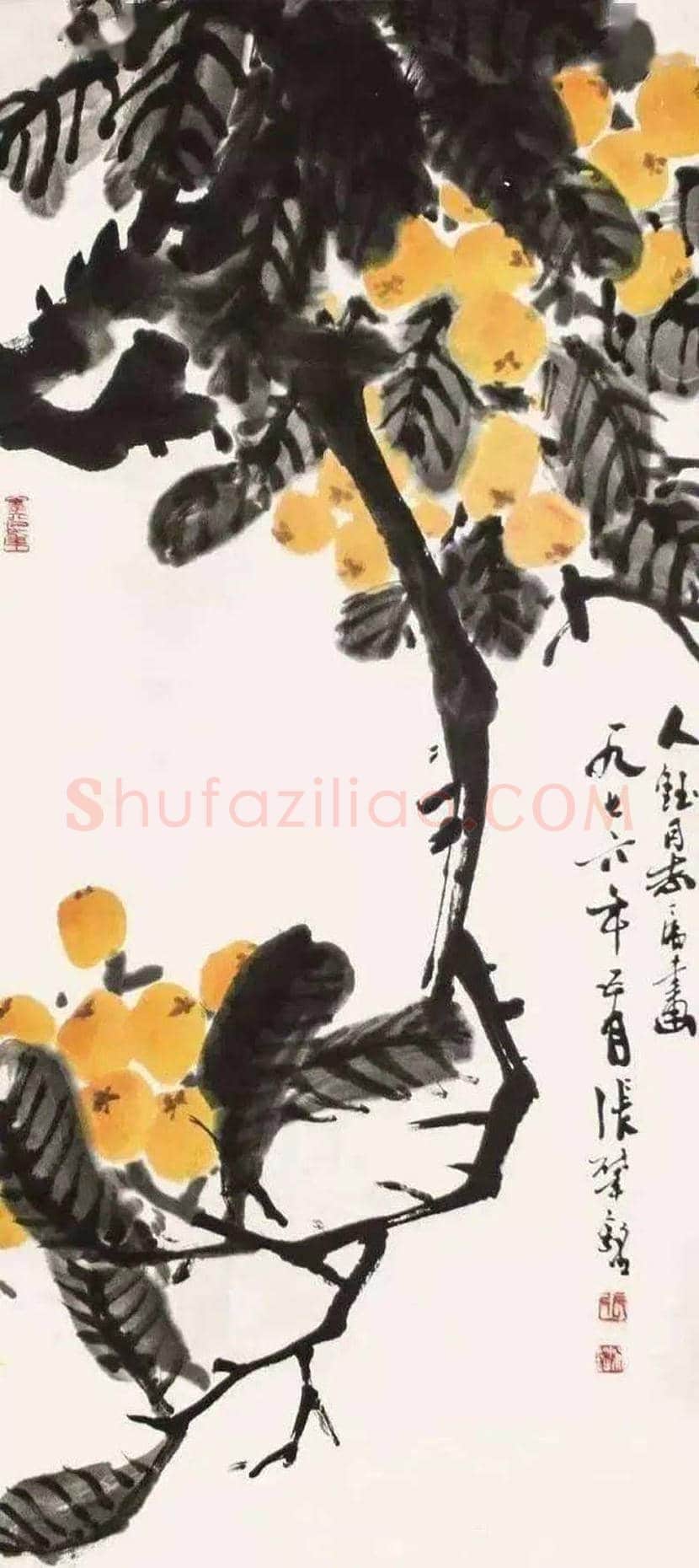张肇铭花鸟画欣赏 | 书画学堂