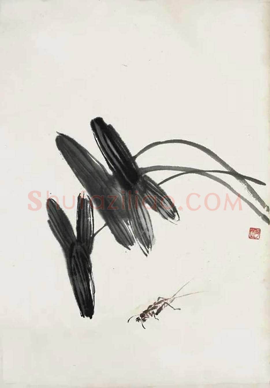 齐白石笔下的慈姑图赏 | 书画科普