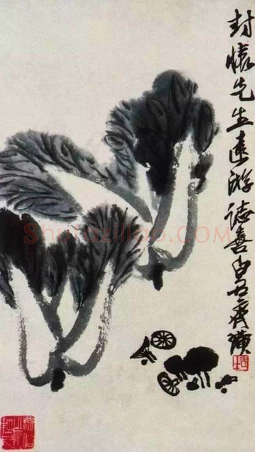 名家笔下的白菜画,百看不厌! | 书画讲解