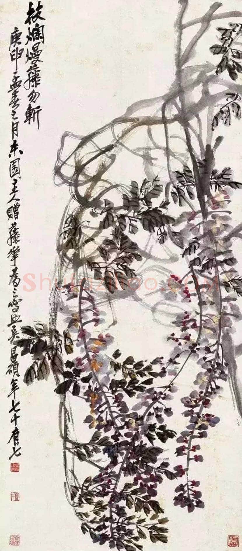 吴昌硕笔下的紫藤,就是在写狂草! | 书画学堂