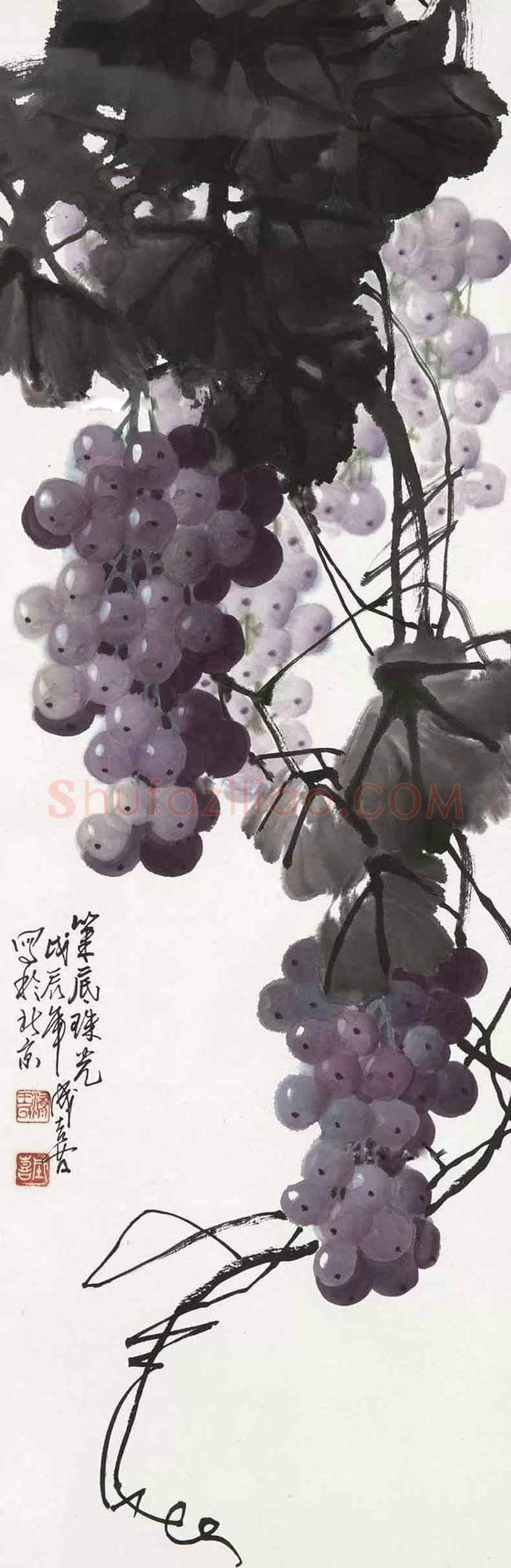 王成喜写意葡萄欣赏 | 书画科普