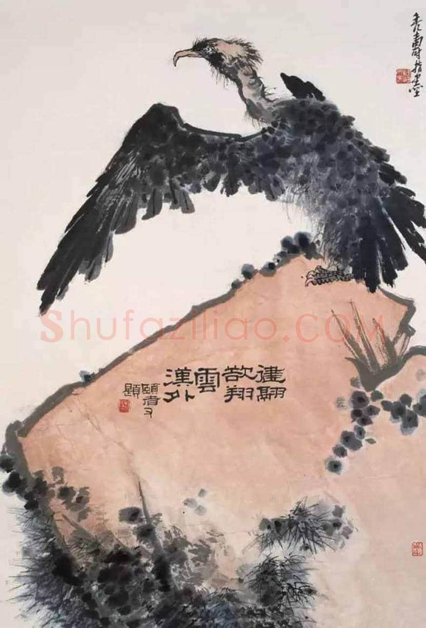 潘天寿笔下的鹰鹫图,一味霸悍! | 书画讲解