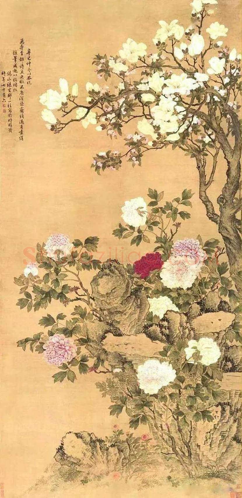 邹一桂工笔花鸟画作品欣赏 | 书画学堂