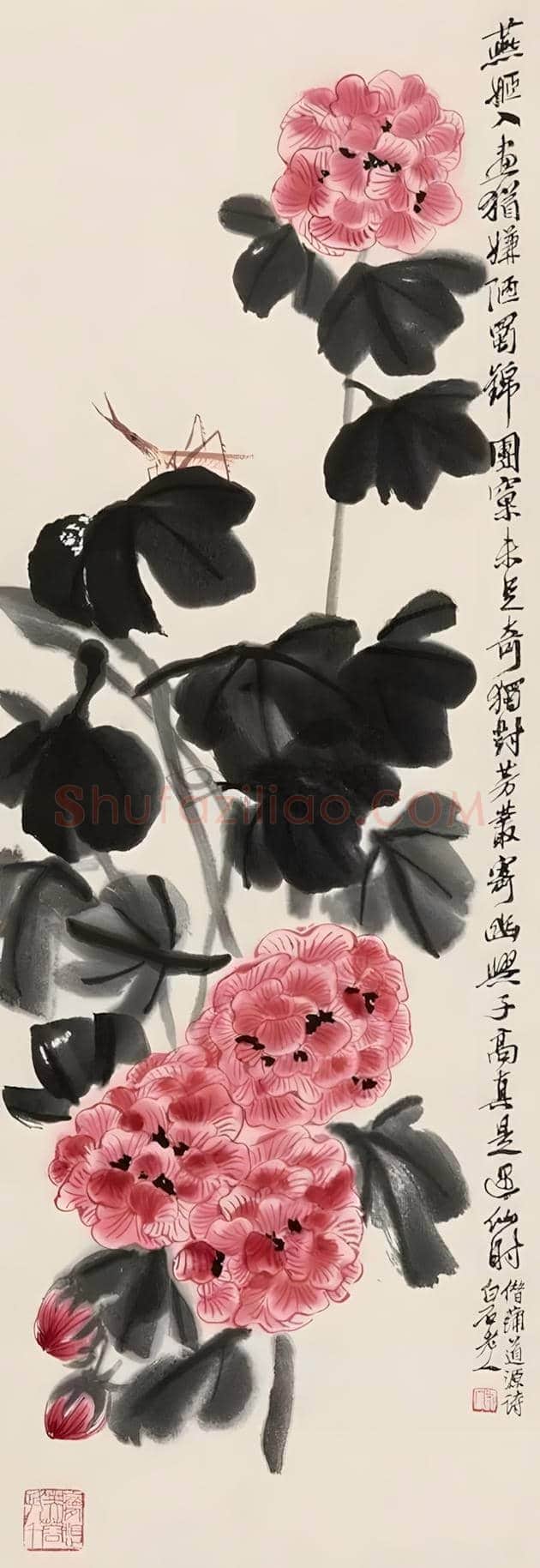 谢稚柳等名家笔下芙蓉花开 | 书画百科