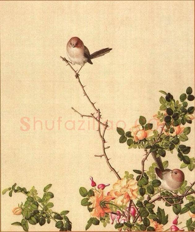 郎世宁笔下的中国花鸟 | 书画知识