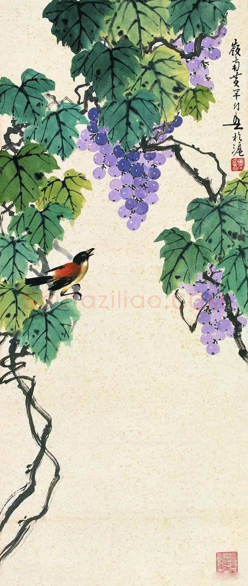 黄幻吾笔下的葡萄小鸟 | 书画常识