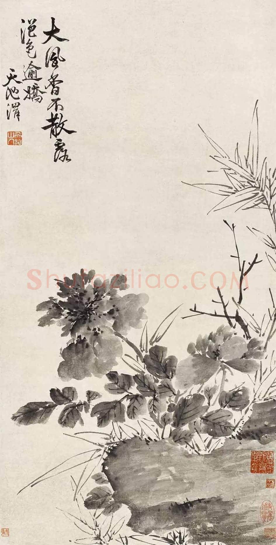 名家笔下的牡丹花【高清大图】 | 书画讲解