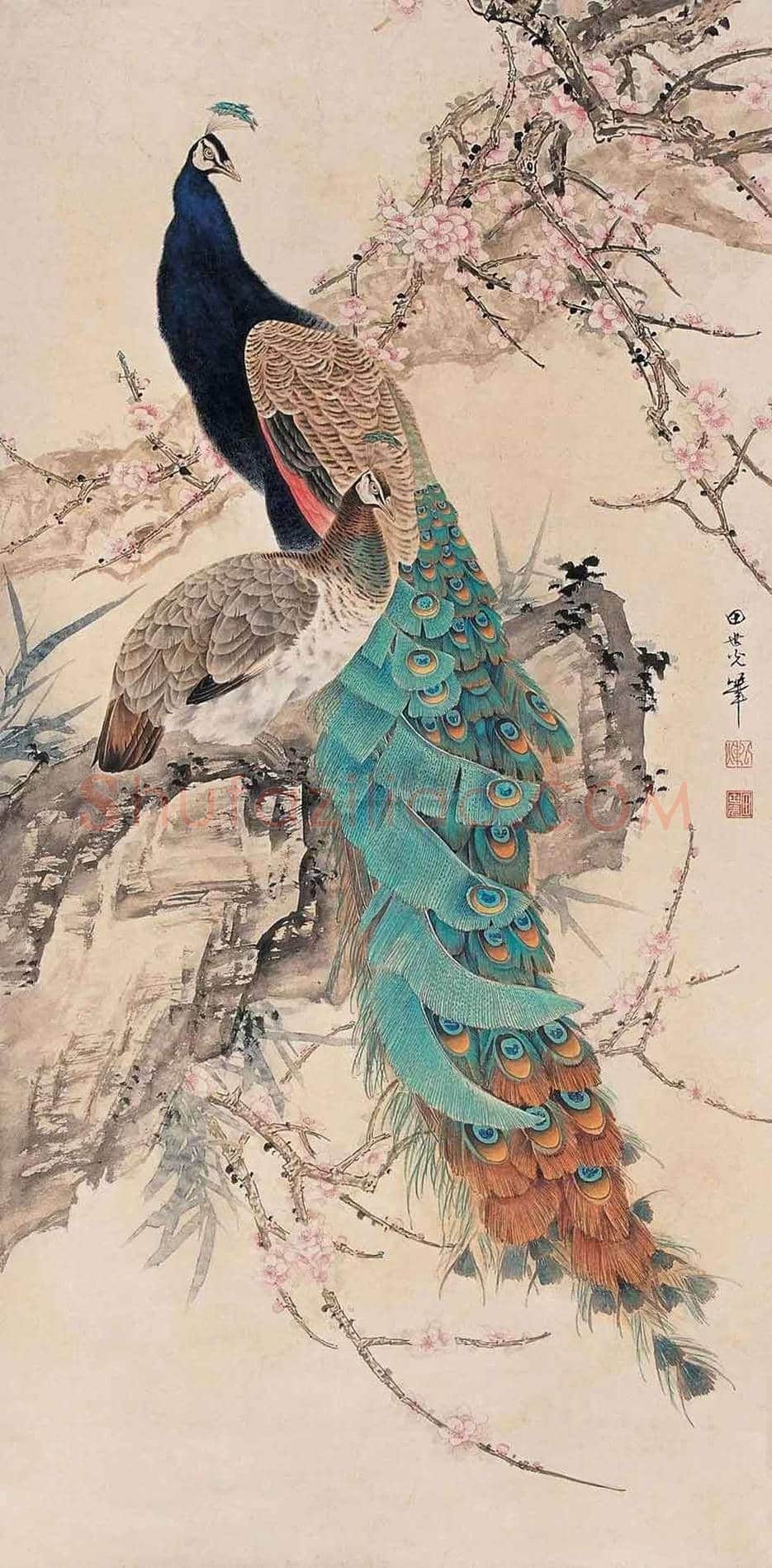 田世光笔下的孔雀，栩栩如生，仙气十足！ | 书画文摘