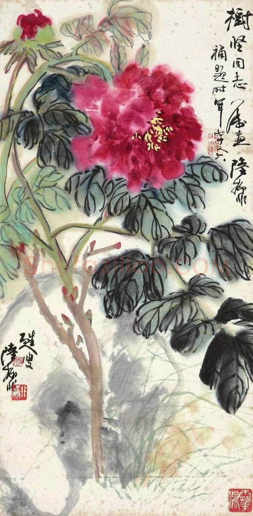 陆抑非牡丹作品欣赏 | 书画科普
