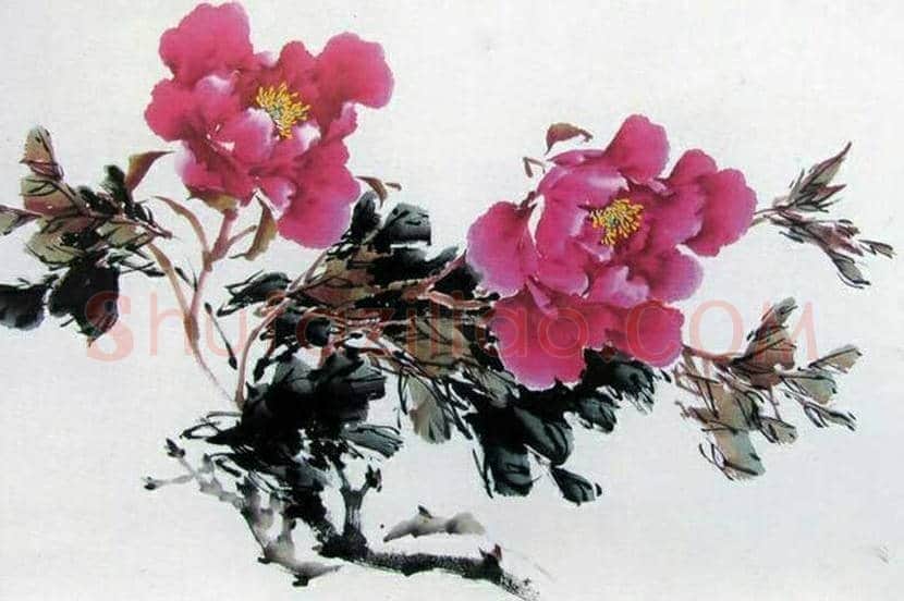 张锡武牡丹作品欣赏 | 书画资料
