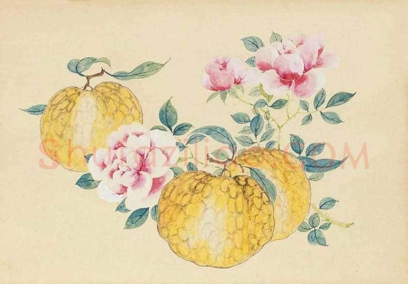 陈竹隐国画作品欣赏 | 书画常识