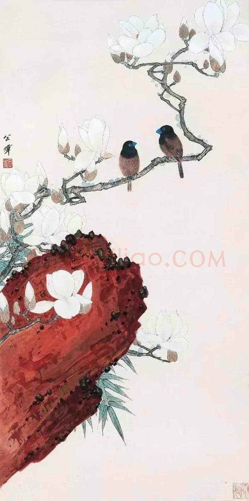 田世光花鸟画作品欣赏 | 书画科普