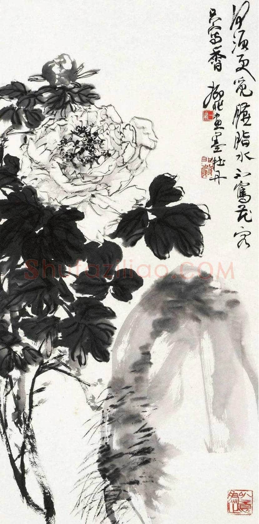 陆抑非牡丹作品欣赏 | 书画科普