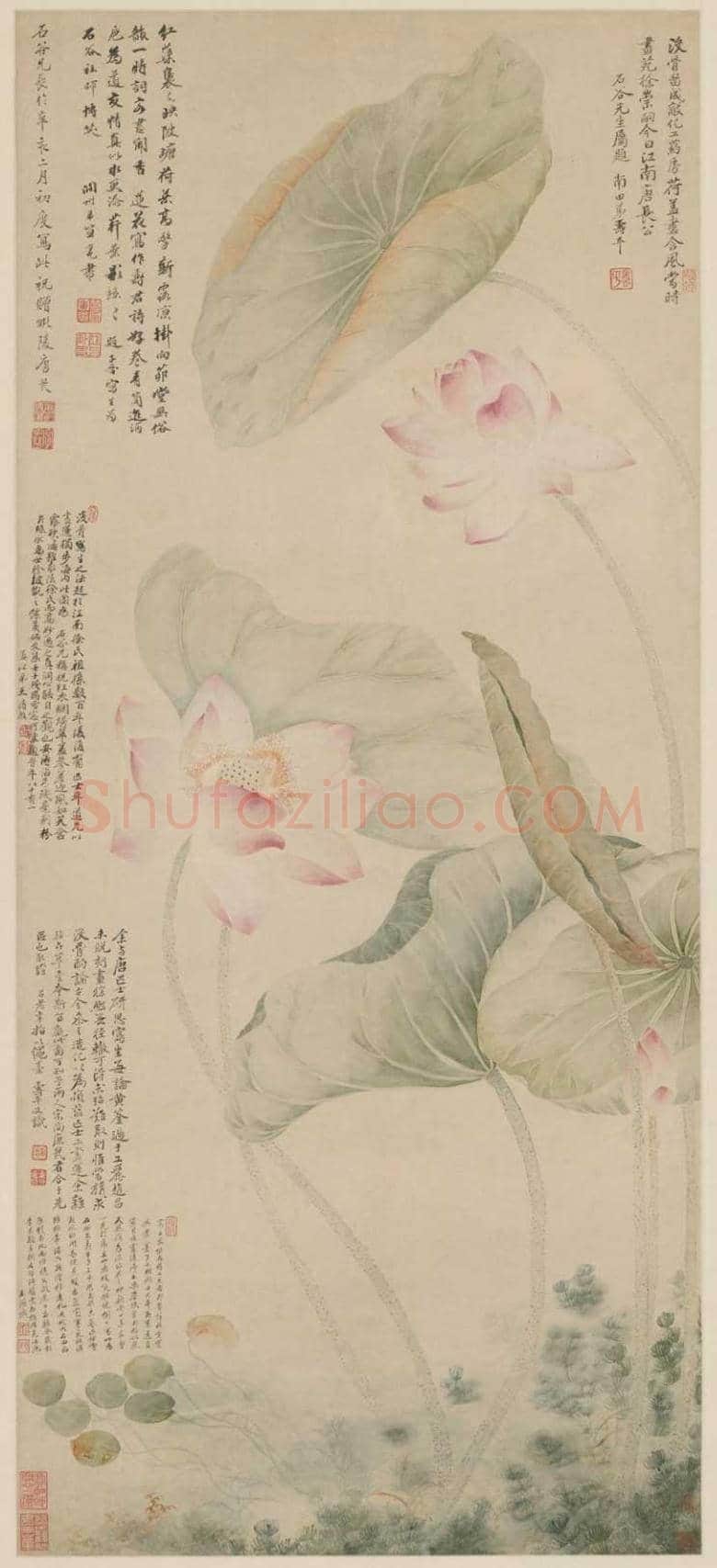 唐苂恽寿平《红莲绿藻图》欣赏 | 传世国画作品