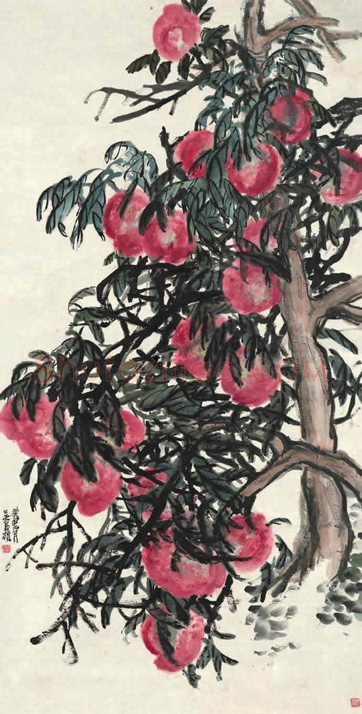 吴昌硕画寿桃，延年益寿 | 书画常识