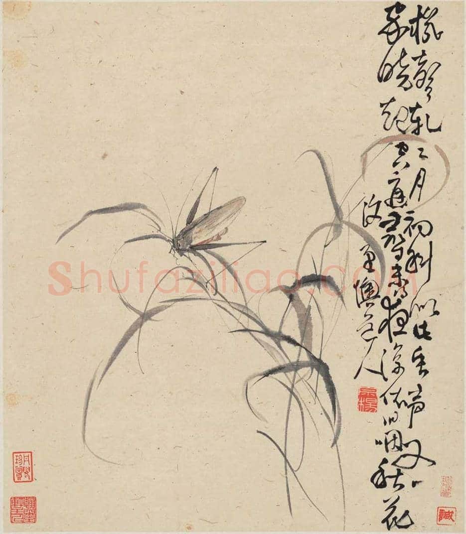 李鱓花鸟册页欣赏 | 书画讲解