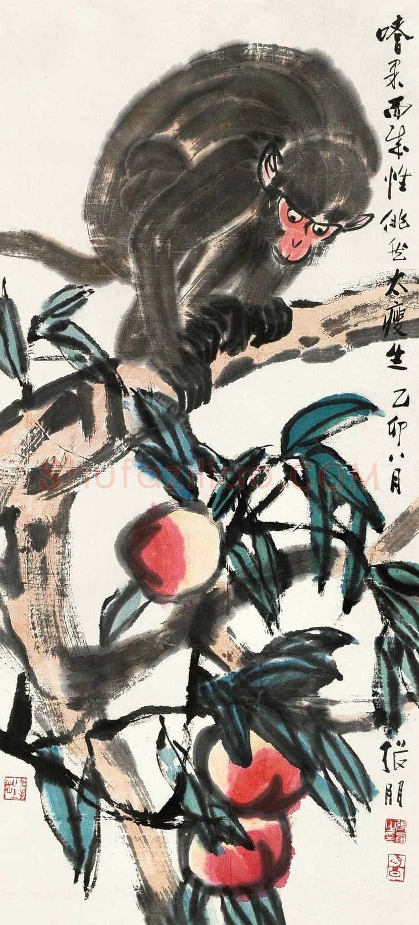 张朋花鸟画作品欣赏 | 书画文摘