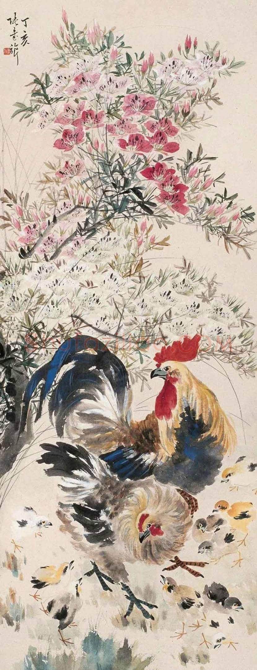 张书旂花鸟画作品欣赏 | 书画讲解