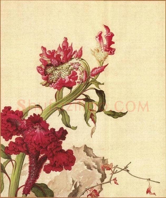 郎世宁笔下的中国花鸟 | 书画知识
