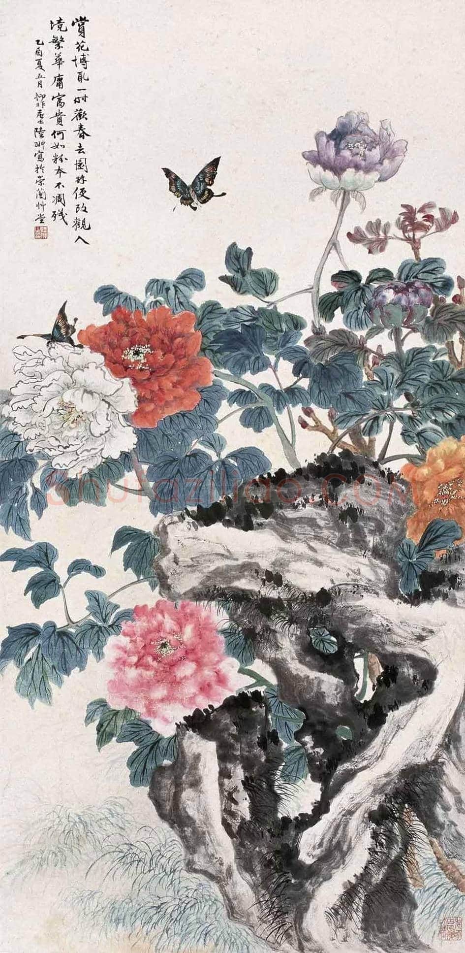 名家笔下的牡丹花【高清大图】 | 书画讲解