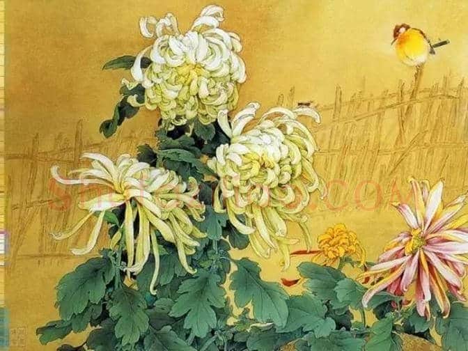 近现代名家画菊48幅！（值得收藏） | 书画知识