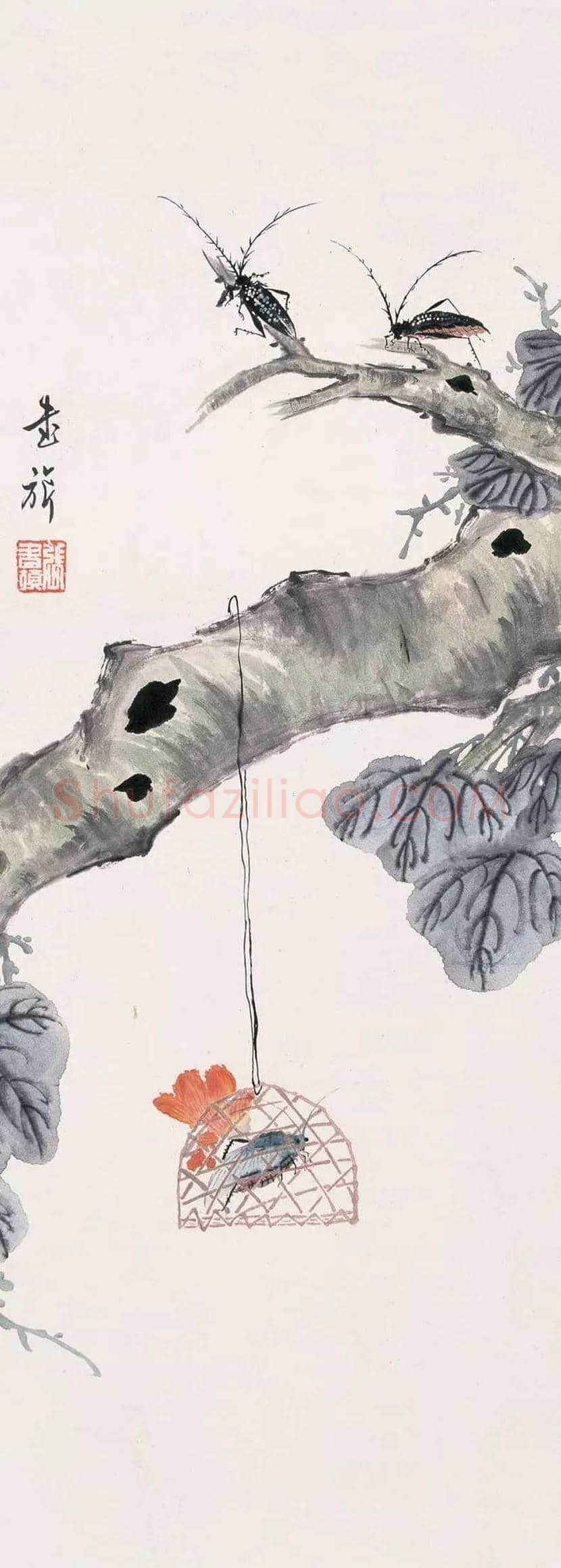 张书旂花鸟画作品欣赏 | 书画讲解