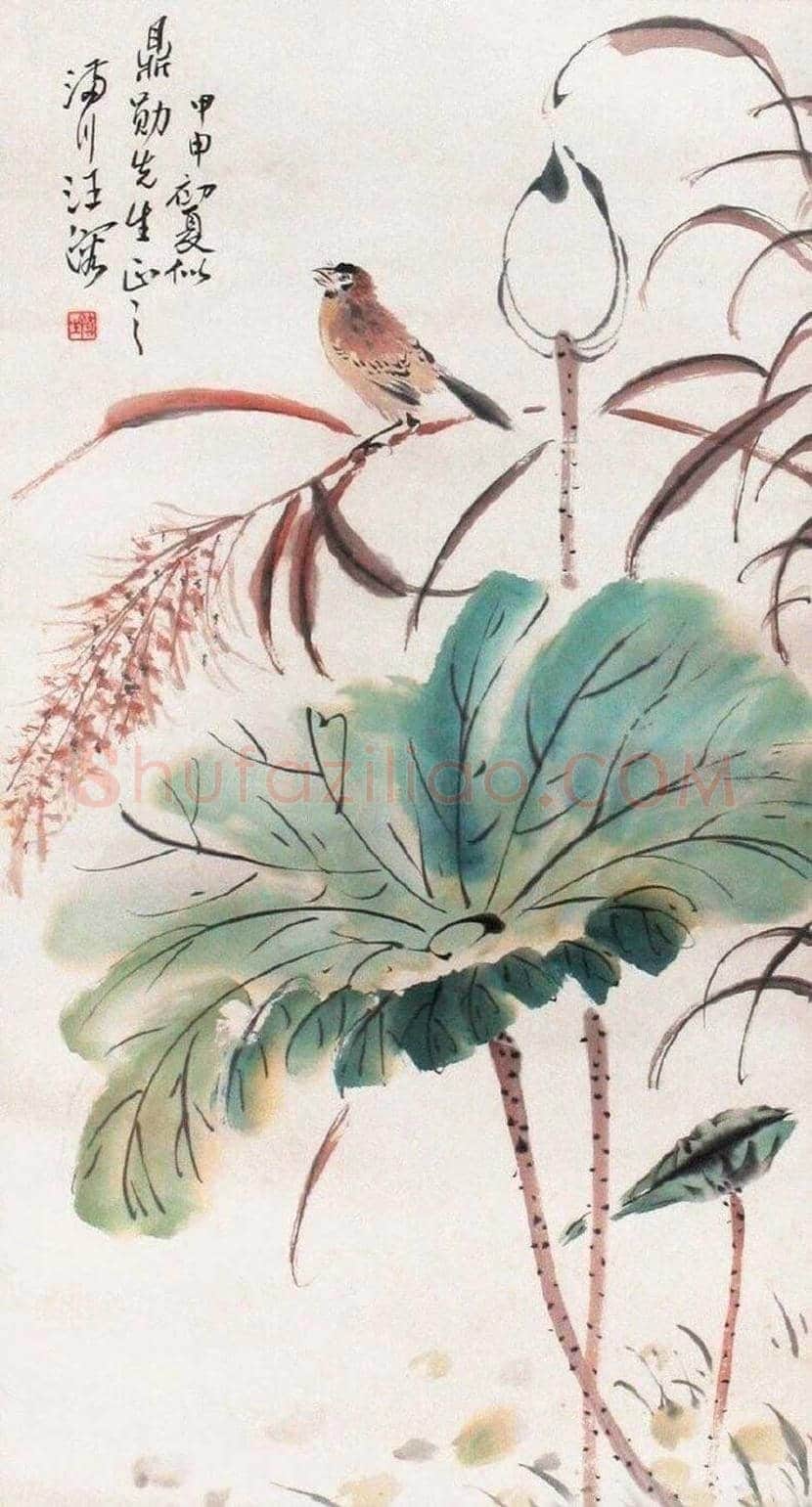 汪慎生花鸟画作品欣赏 | 书画常识