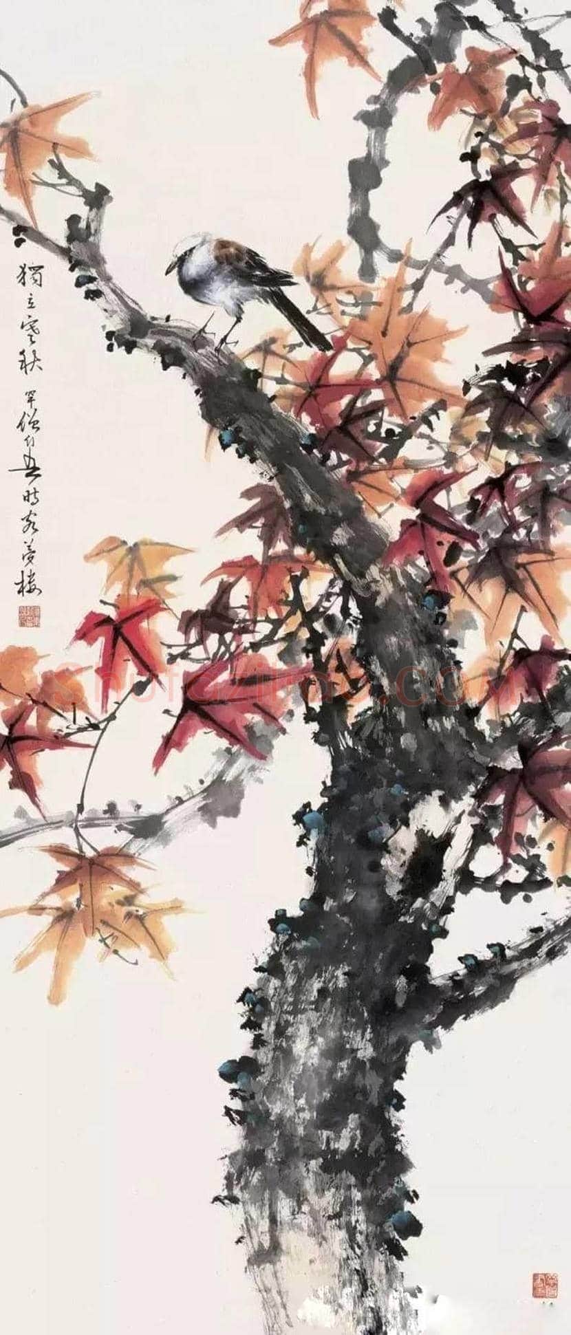 黄幻吾花鸟画作品欣赏 | 书画科普