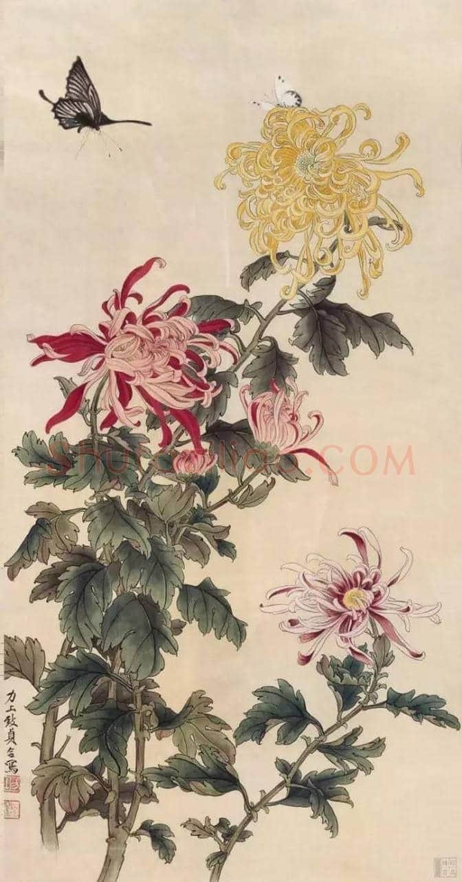 近现代名家画菊48幅！（值得收藏） | 书画知识