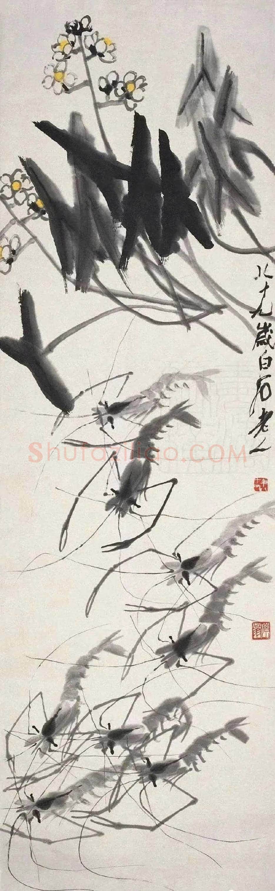 齐白石笔下的慈姑图赏 | 书画科普