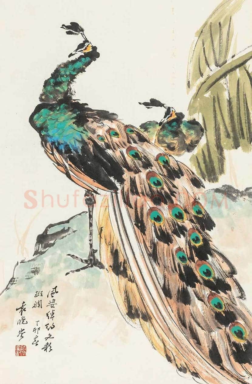 袁晓岑孔雀作品欣赏 | 书画百科