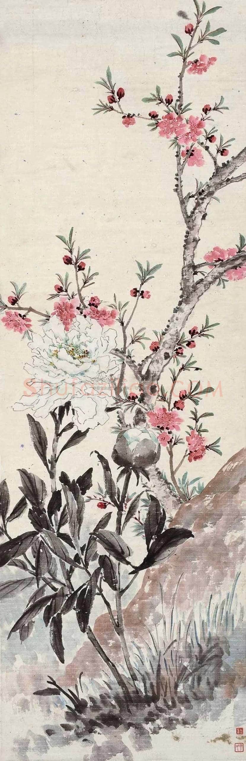 刘子久花鸟画作品欣赏 | 书画常识