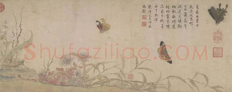 赵昌《写生蛱蝶图》欣赏 | 书画资料