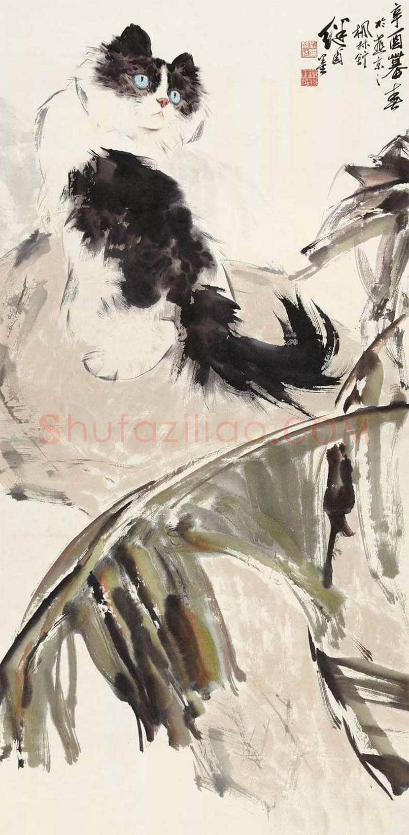 名家画猫作品欣赏 | 书画文摘