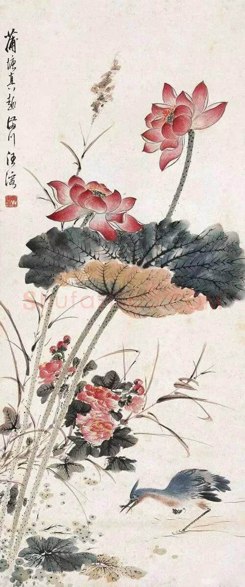 汪慎生花鸟画作品欣赏 | 书画常识