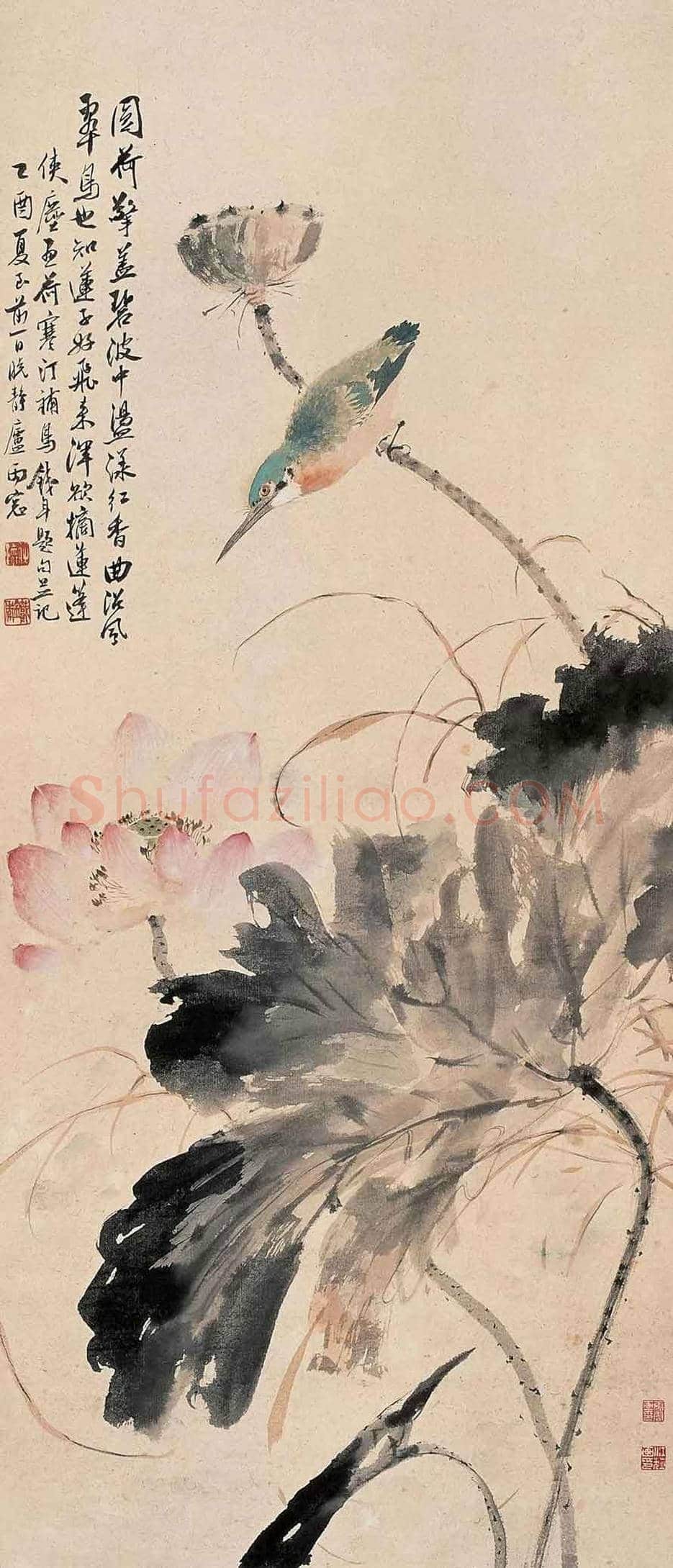 江寒汀荷花作品欣赏 | 书画讲解