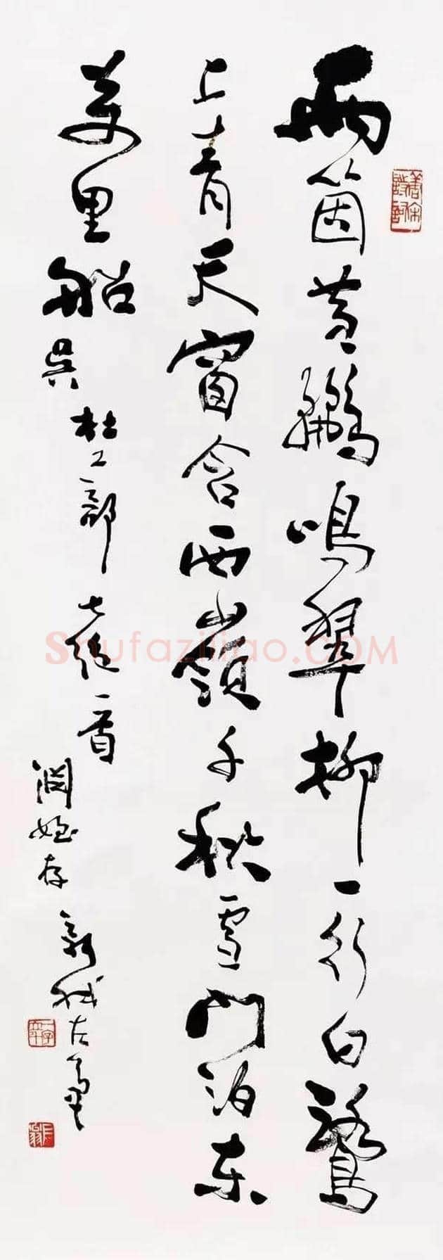 费新我书法欣赏 | 书画学堂