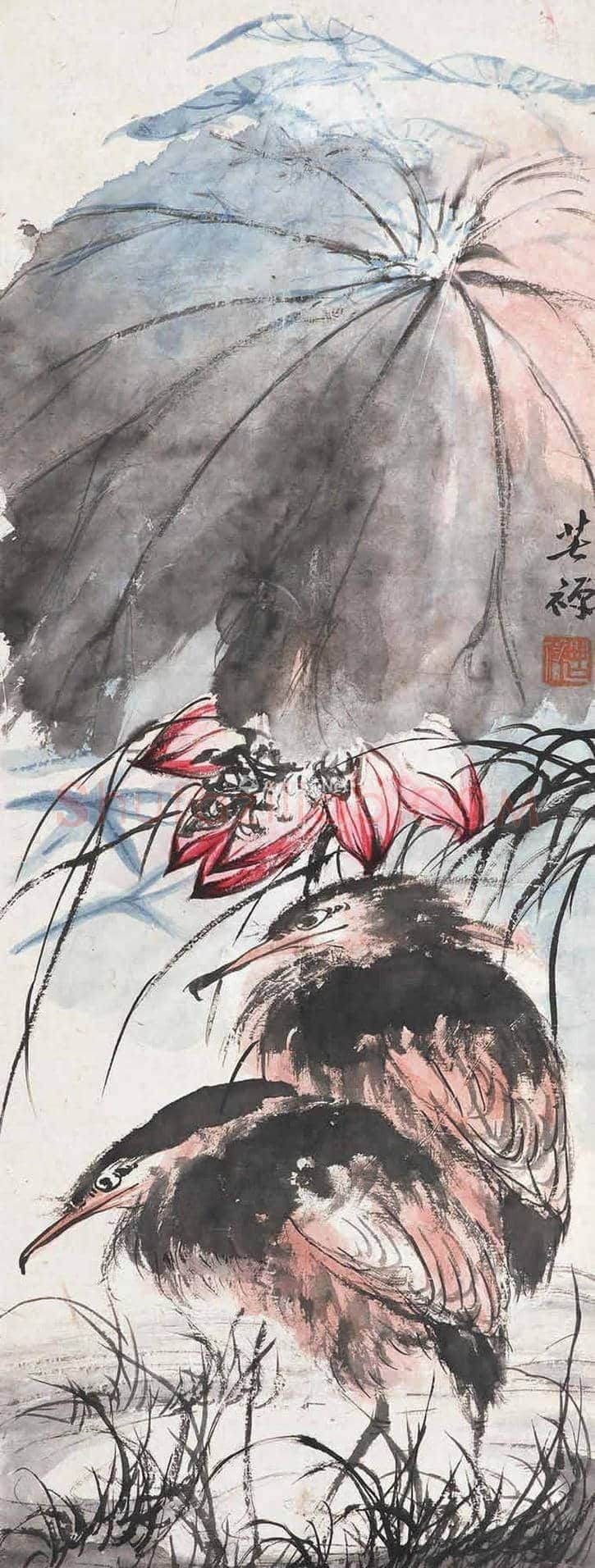 李苦禅荷花作品欣赏【高清大图】 | 书画百科