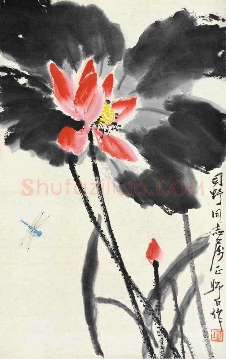 王雪涛娄师白荷花作品比较 | 书画学堂