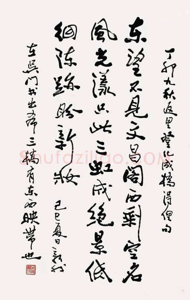 费新我书法欣赏 | 书画学堂