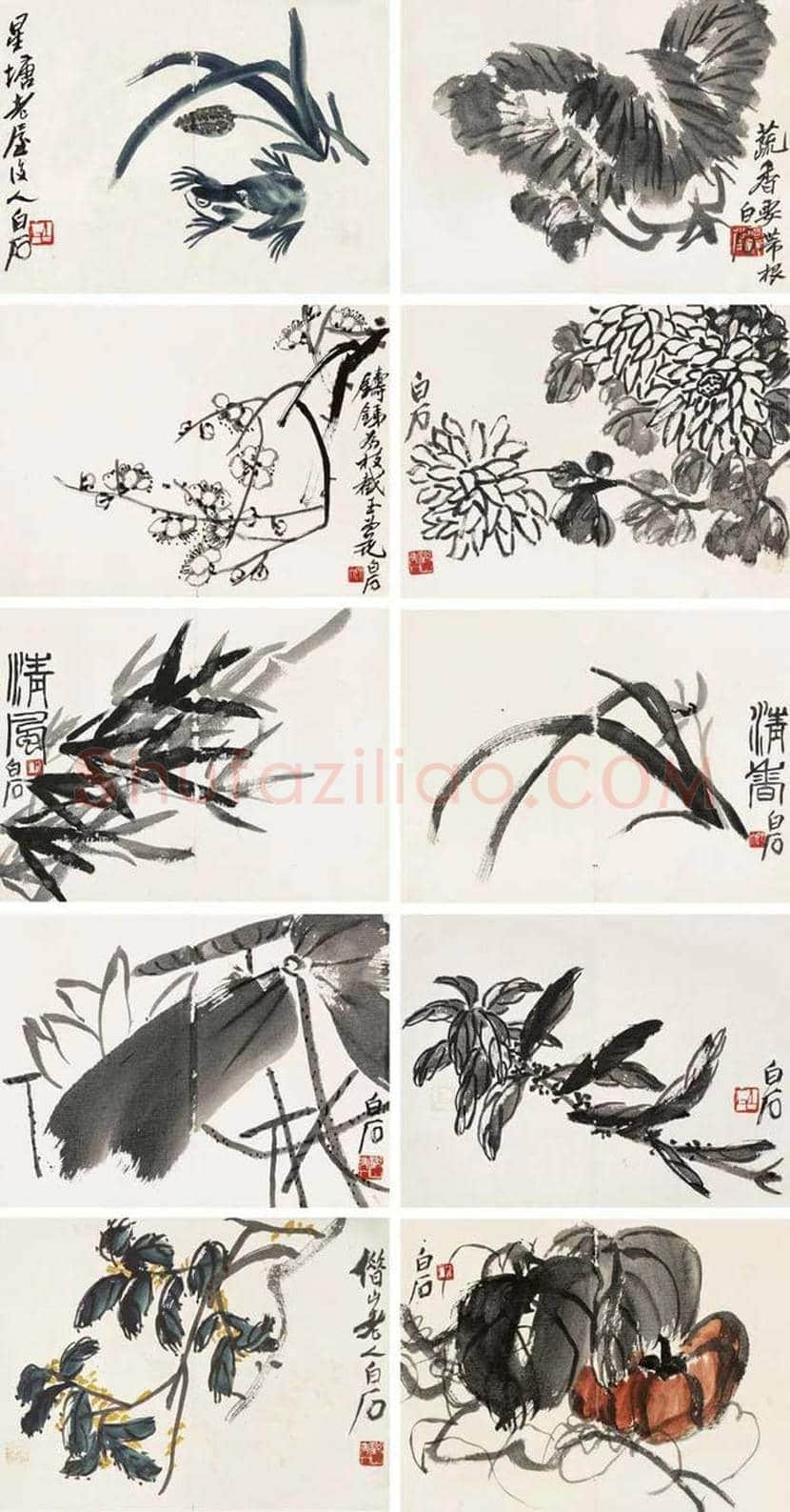 齐白石《花卉册》欣赏 | 书画资料