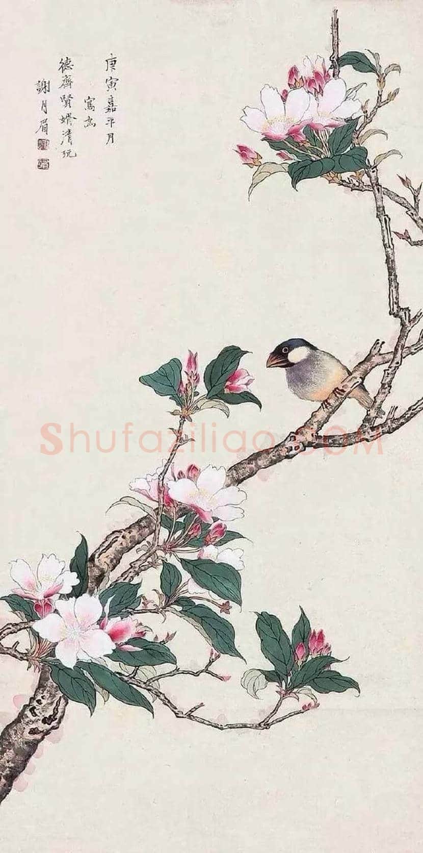 谢月眉作品欣赏 | 书画百科